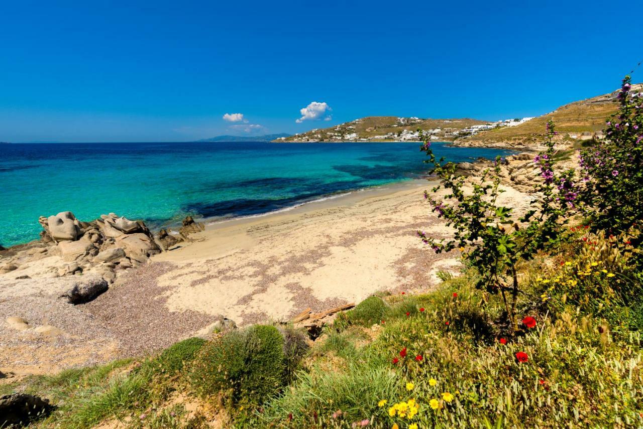 Amorous Luxury Villa Agios Ioannis Diakoftis Exterior foto